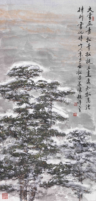 雪松镜片